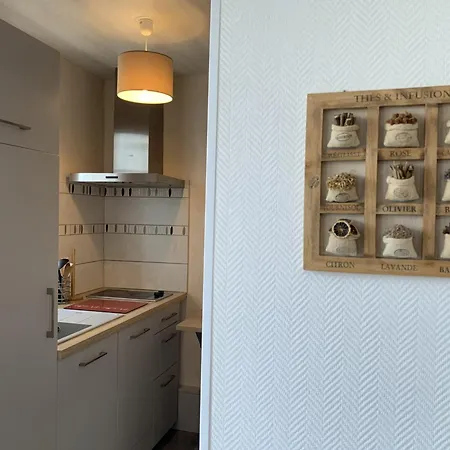 T3 Lumineux Centre-ville Avec Wi-fi - Fr-1-541-154 *