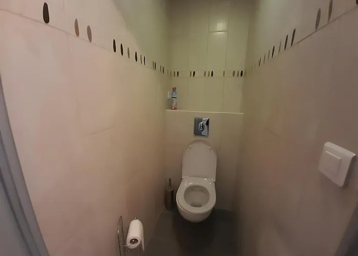 T3 Lumineux Centre-ville Avec Wi-fi - Fr-1-541-154 * La Roche-Posay